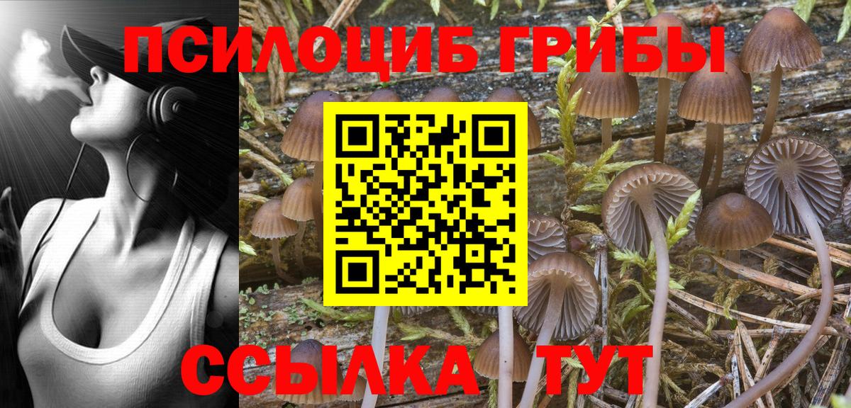 Псилоцибиновые грибы прущие грибы Гусев