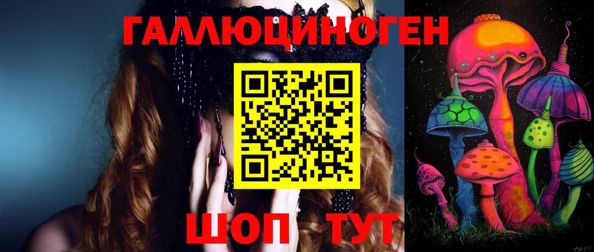 Галлюциногенные грибы Magic Shrooms  Вход с VPN  Псилоцибиновые грибы MAGIC MUSHROOMS  Гусев 